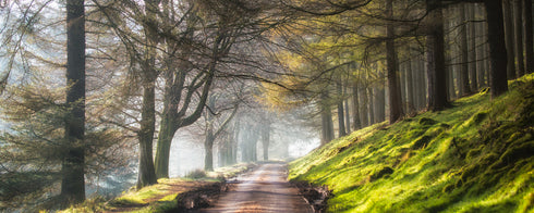 PANORAMIC - MYSTICAL HOWDEN - 1.2m x 50cm